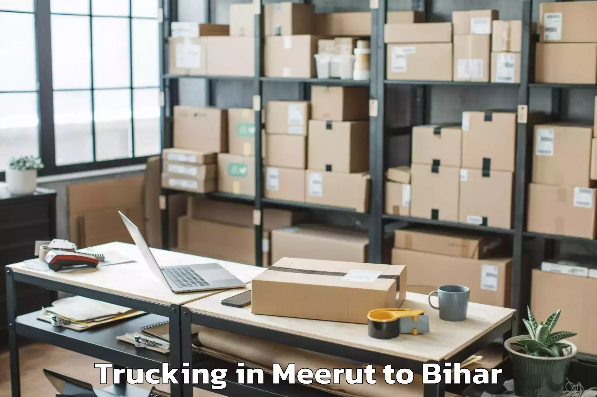 Hassle-Free Meerut to Barauli Trucking